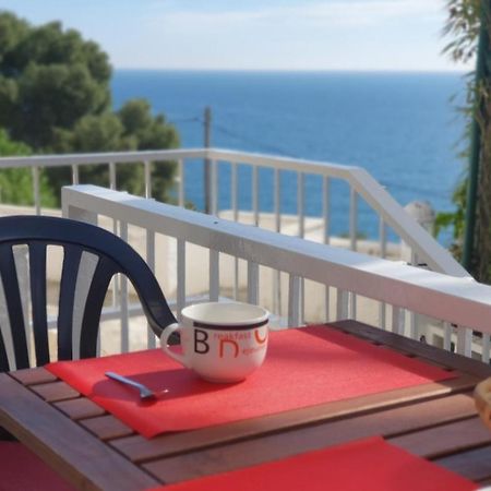 Apartamento Cerca Cala Crancs Playa 萨洛 外观 照片