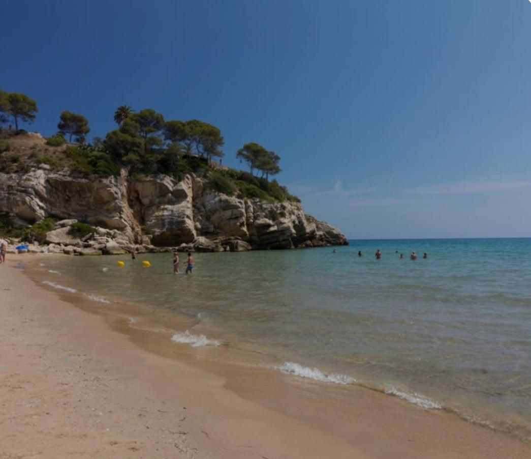 Apartamento Cerca Cala Crancs Playa 萨洛 外观 照片